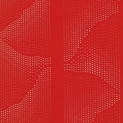 Dwugłowicowa maszyna do perforowania materiałów powlekanych i skór, o polu pracy 1200x800mm