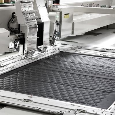 Multifunctional machine for sewing, embroidering and perforating leather and coated fabrics