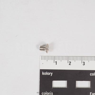 Screw for Texi Post, ZJ9610