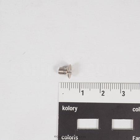 Screw for Texi Post, ZJ9610
