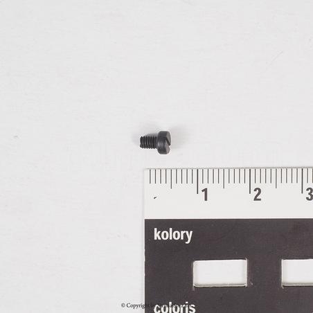 Screw for ZJ1500-156M-BD, Texi Treccia