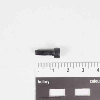 Screw for ZJ2500, Texi Treccia