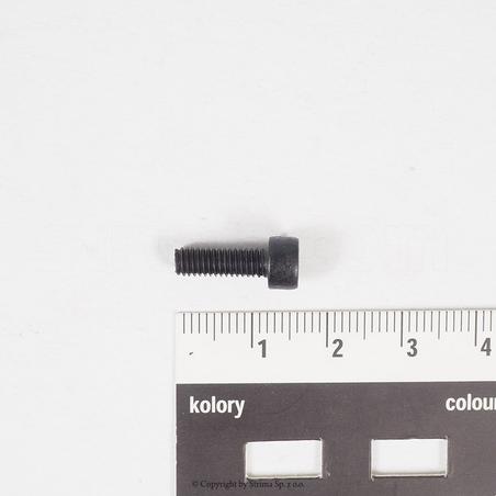 Screw for ZJ2500, Texi Treccia