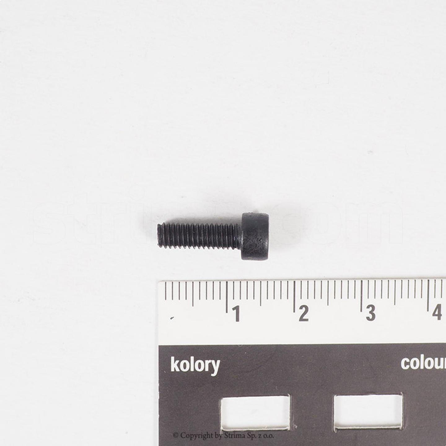 Screw for ZJ2500, Texi Treccia