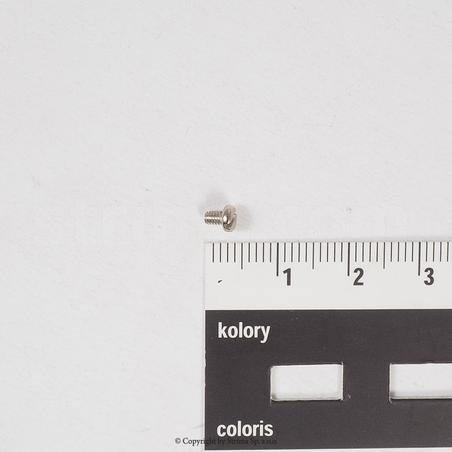 Screw for needle plate insert for ZJ9610, Texi Post