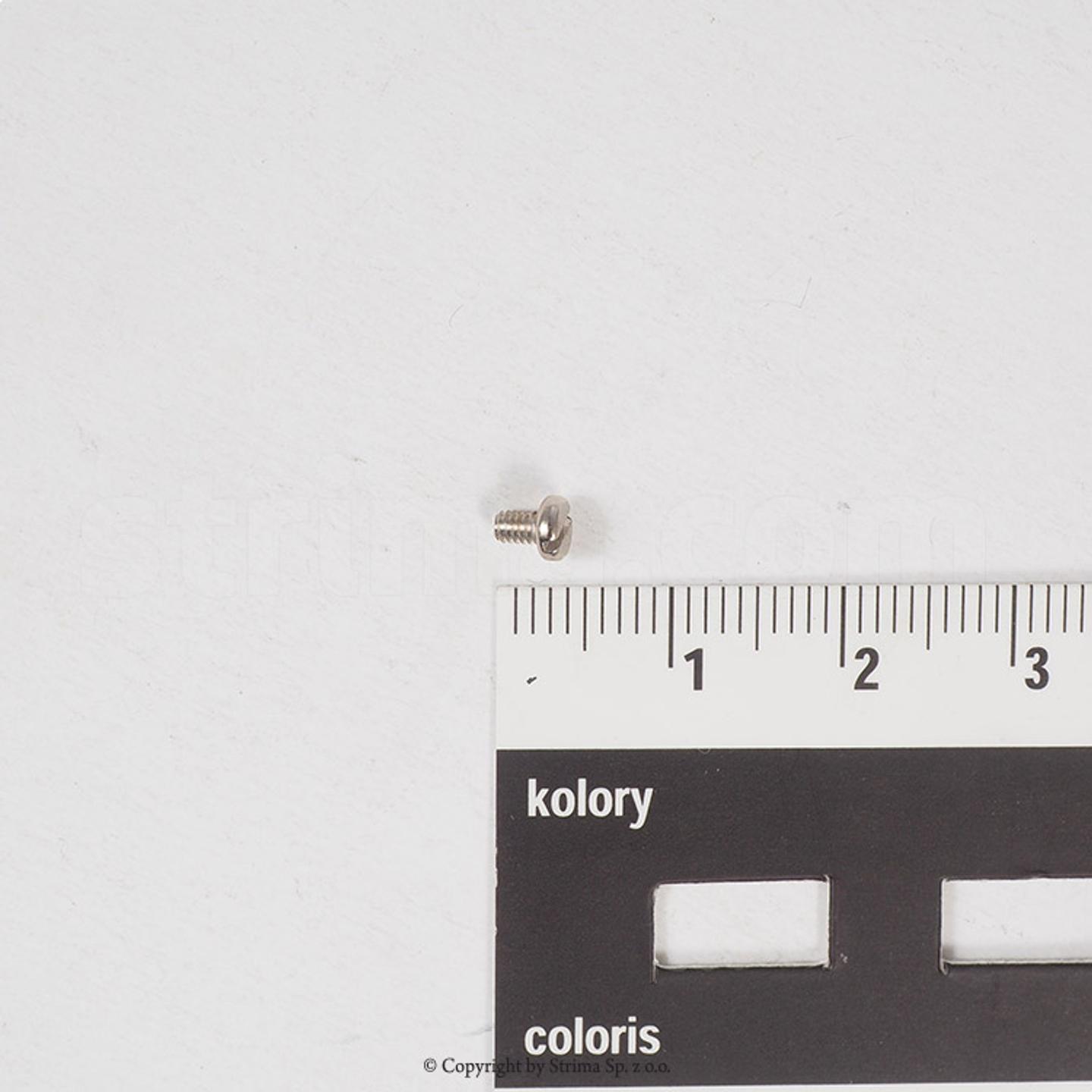 Screw for needle plate insert for ZJ9610, Texi Post