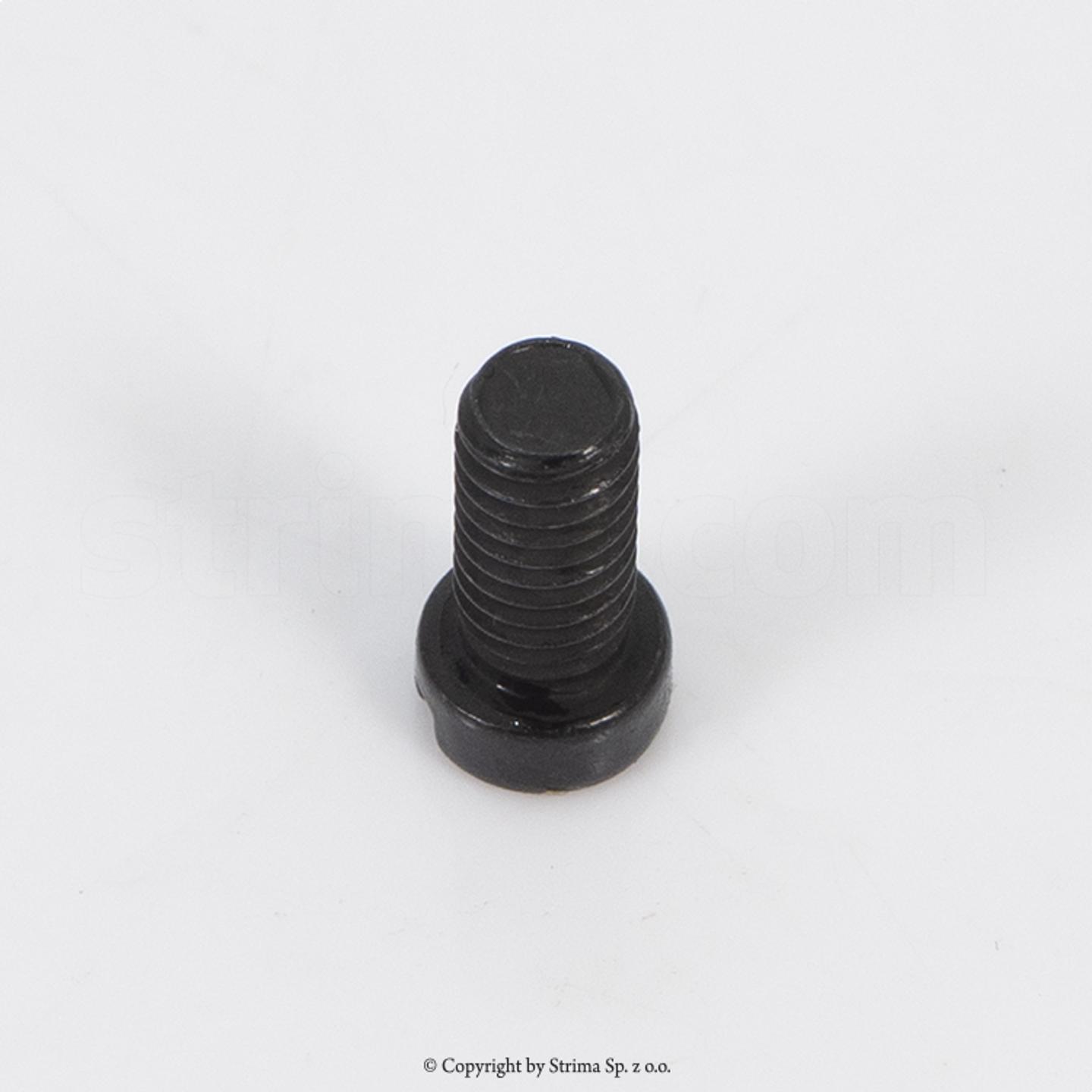 Wkręt zam. 10005209 P TEXI