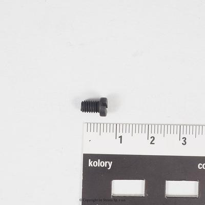 Screw for Texi Post, ZJ9610