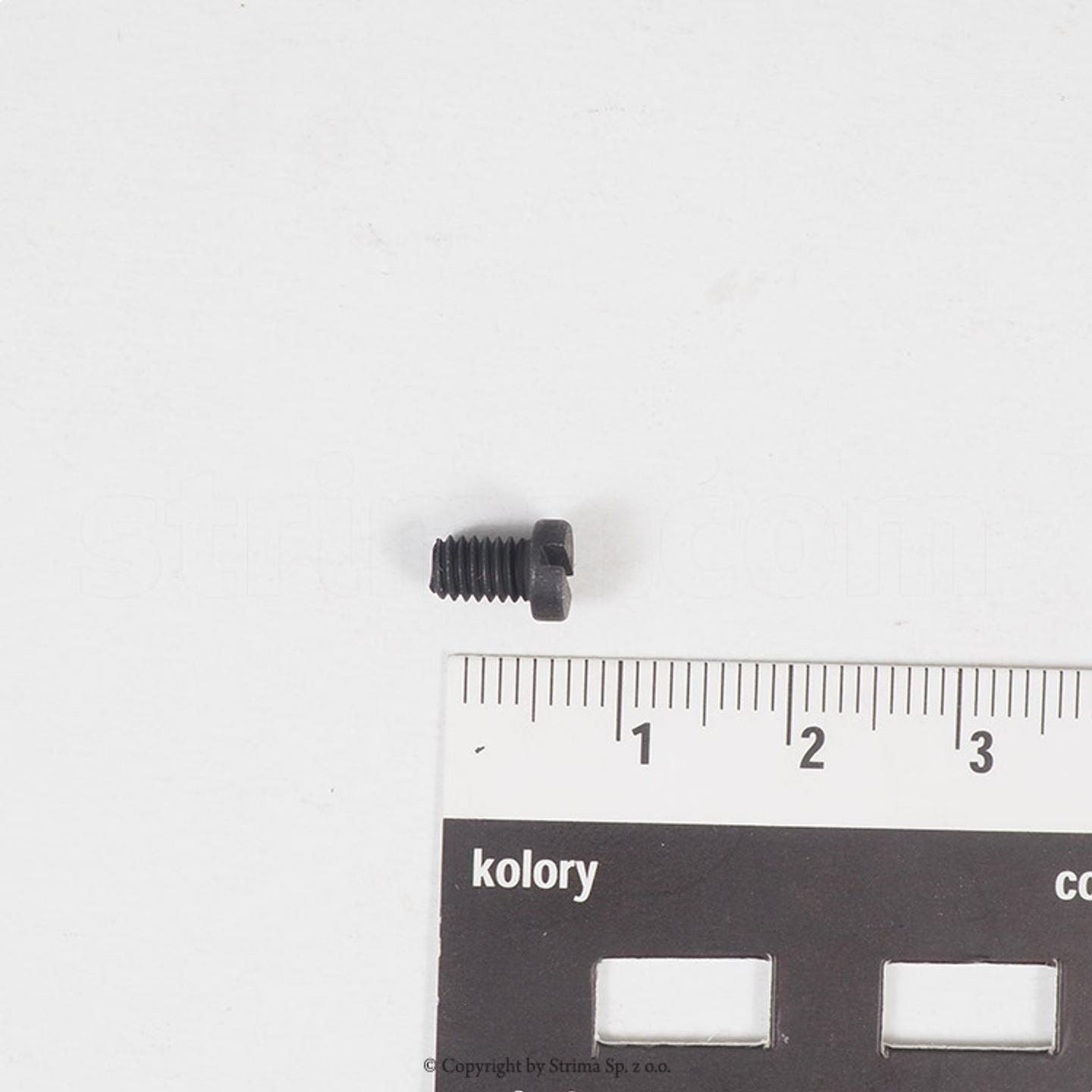 Screw for Texi Post, ZJ9610