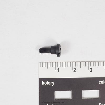 Screw for Quattro 24 / Cinque 35
