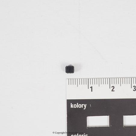 Wkręt do Quattro 24 / Cinque 35 zam. 007171 Q/C TEXI