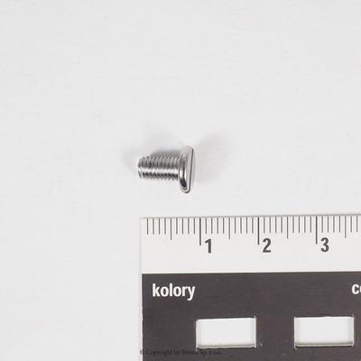 Screw for Quattro 24