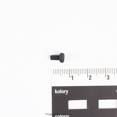 Screw for Texi Quattro 24, Texi Cinque 35, ZJ732-38A,ZJ752-13A/ 13H