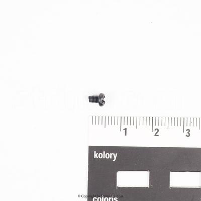 Screw for Quattro 24