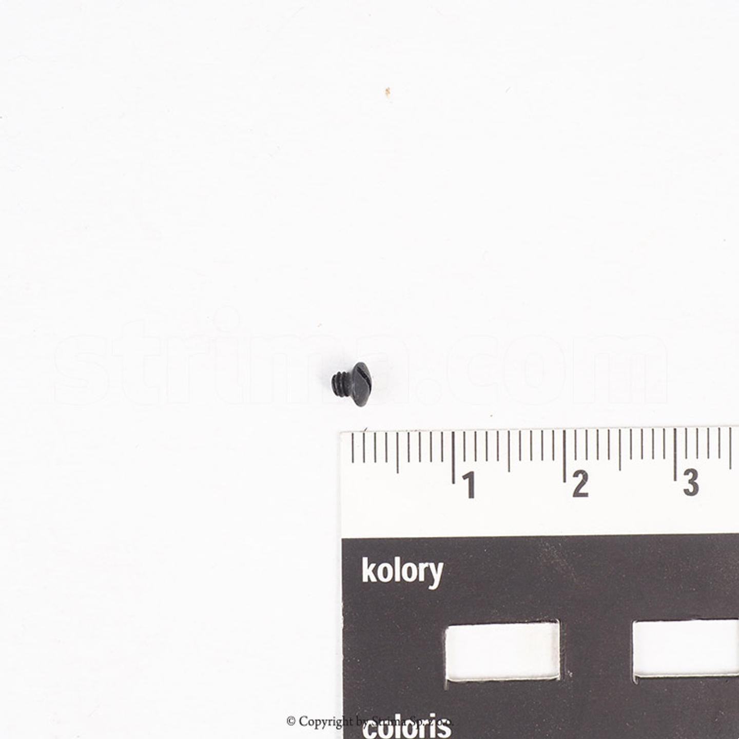 Screw for Texi Catenaccio, ZJ1900BSS