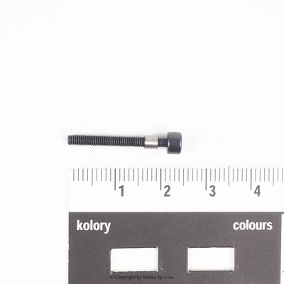 Screw for ZJ1500-156M-BD, Texi Treccia