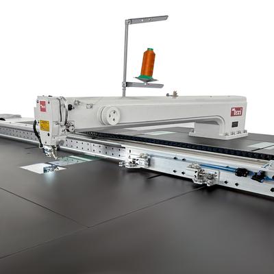 Programmable sewing machine with independent drives